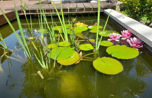 Domaine de l'Ermitage - Foto 65