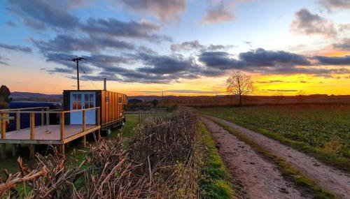 Bertha's Box - Foto 2