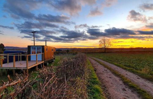 Bertha's Box - Foto 2