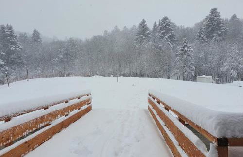 LE DOMAINE DE LA LOUVE BLANCHE - Foto 30