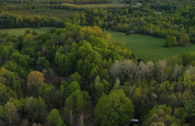 Postcard Cabins Barber Creek, Outdoor Collection by Marriott Bonvoy - Photo 41