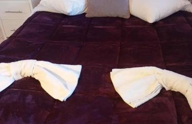 Comfort House Mimosa 2 - Photo 24