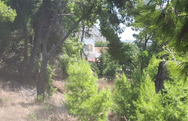 Villa Dunes - Foto 32