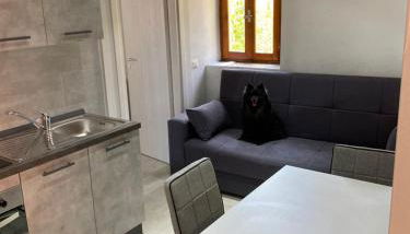 Moonlight Apartament - Foto 5