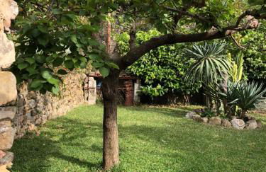 Il Vicolo Palinuro - Photo 16