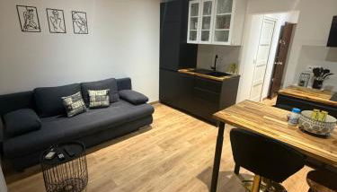 Papillon de cimiez - Foto 3