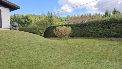 Maison RoMa, se ressourcer proche de Gerardmer et La Bresse - Foto 3