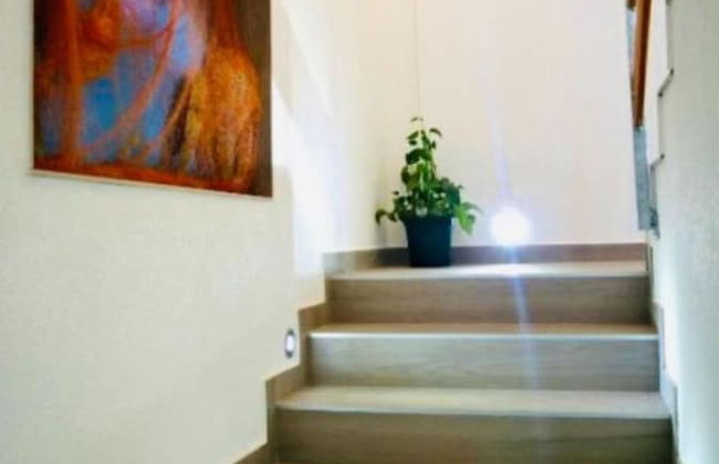 Nick - With Barbecue - A1 - Foto 13