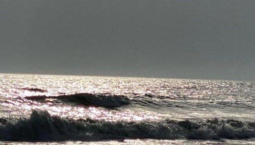 Seagull's Crest - Foto 3