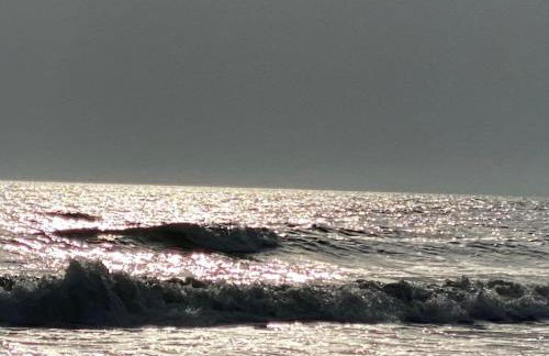 Seagull's Crest - Foto 3