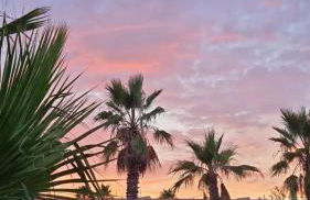 Villa Maniscalco - Foto 24