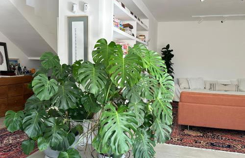 Villa con piscina vicino Roma - Foto 54