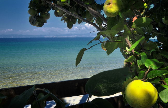 Balconies on Sea - The Garden Apartment - Foto 27