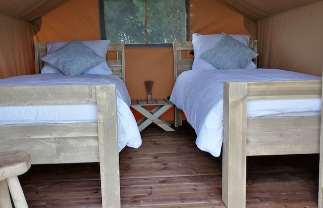 Ferme du Caroire - Foto 10