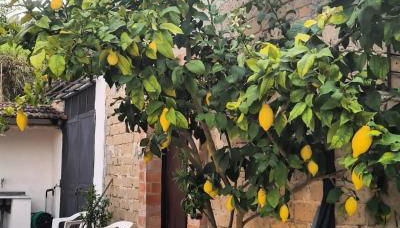 La Ripa delle Janare - Foto 4