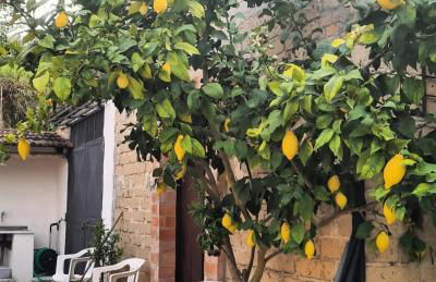 La Ripa delle Janare - Foto 4