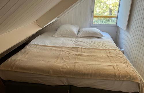 Cabane Claouey, bassin Cap ferret - Foto 7