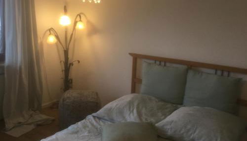 Ruhige Ferienwohnung Beletage - Foto 3