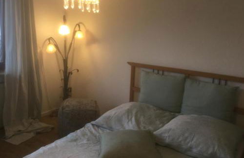 Ruhige Ferienwohnung Beletage - Foto 3