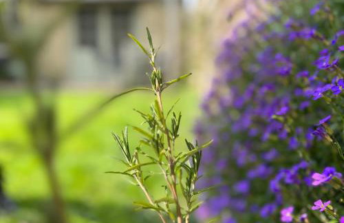 Wishbone Cottage In The Cotswolds - Foto 16
