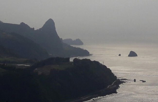 Ulleung Haeoreum Pension - Foto 78