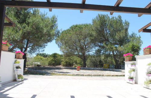 Residence Conchiglia San Giovanni - Foto 19