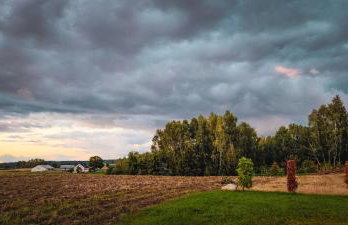 Poziomkowy Zakątek - Foto 23