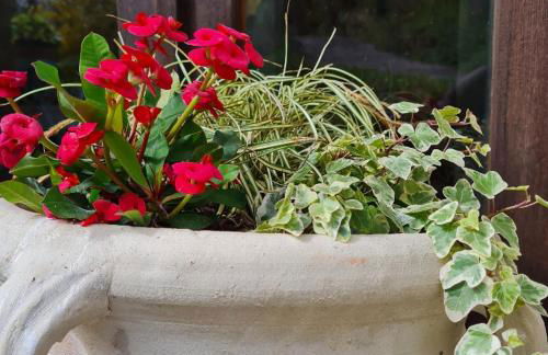 dalla fortezza al mare - la vostra casa a San Leo - Foto 37