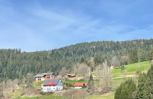 Altes Berghaus - Foto 19