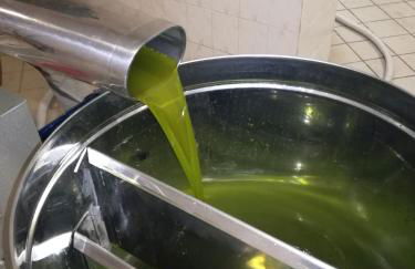 Agriturismo Torre Ercolana - Foto 97