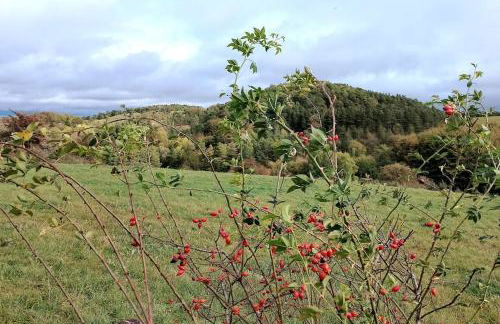 Loft Eifel Idylle - Photo 27