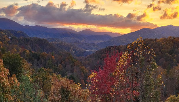 Comodidade do alojamento