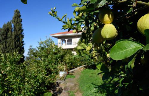 Endless Green 4 Arethousa Ikaria - Photo 24