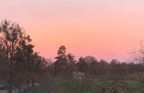 Große Loft im Naturschutzgebiet mit eigenem Garten - Photo 64