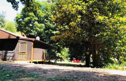 Cabin at the cove at Watauga Lake - Foto 1