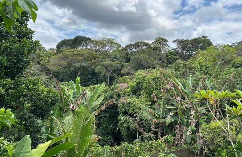 Casa em Reserva Ambiental com Piscina Privativa - Foto 16