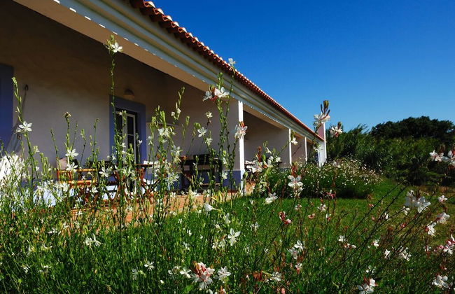 Herdade do Freixial - Foto 57