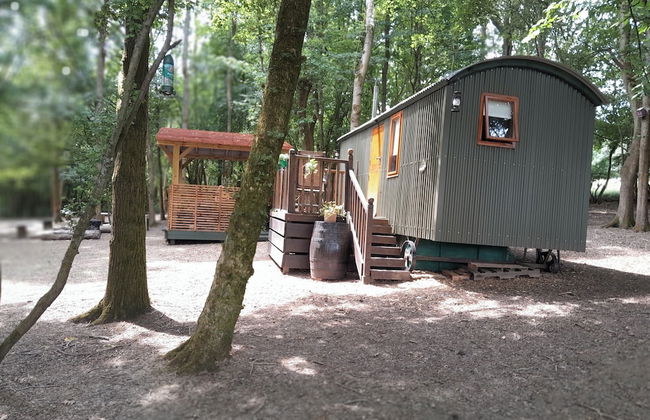 Little Greenwood Shepherd Hut - Sleeps 2 - Foto 23