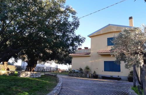 Villa "Il Giardino di Rocco" - Foto 21