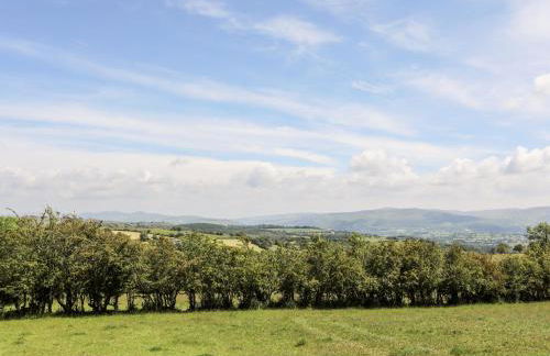 Hafotty Gelynen - Photo 30