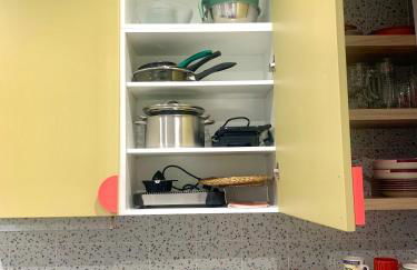 Verde Oliva Albero Limon - Photo 49