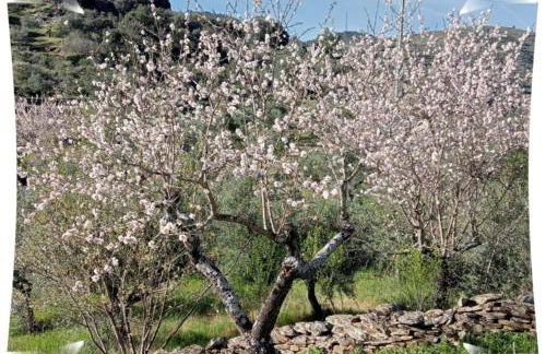 Casa do Rossio - Foto 27