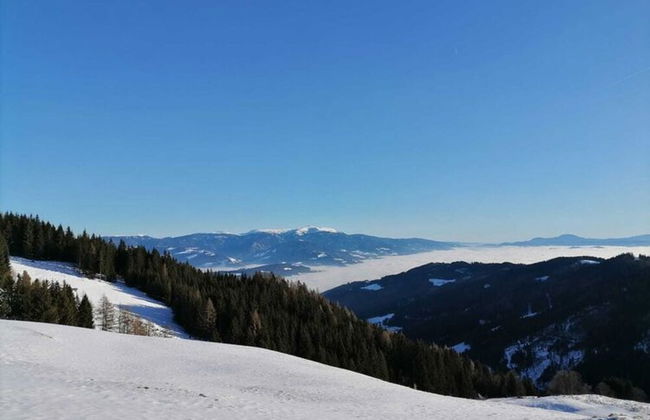 Alpine House in Prebl Near Klippitztorl Ski Area - Foto 15