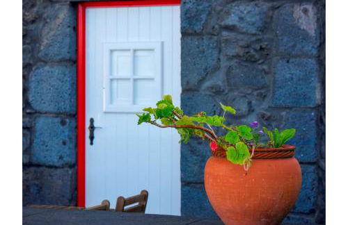 Casa do Zé II AL - Photo 101