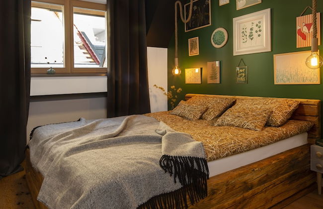 Green Deer Premium - Foto 17