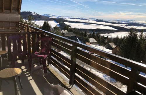 Lama-Gîte-des-Puys T3 Lamadalet, vue sud, terrasse, parking privé - Photo 20