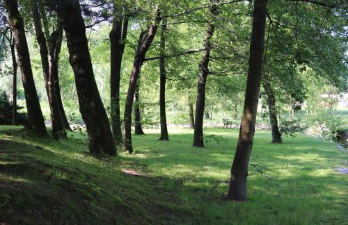 Il Girasole - Foto 25