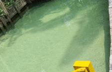 Sitio na floresta px a Belém - Photo 9