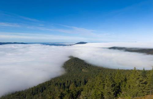 Ferienwohnung Osser Woid - Foto 25