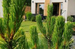 Sjesta al mare, domki z sauną i balią z jacuzzi - Foto 37